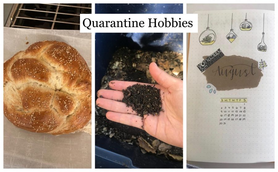 Three Burlingame students share hobbies they have started since the beginning of Quarantine.