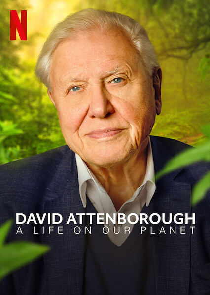 94-year-old naturalist David Attenborough takes a stand on climate change in his recent documentary, which can be viewed on Netflix. 