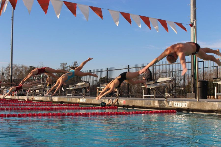 The varsity swim team practices their relay dives for their relay-based swim meets this season.