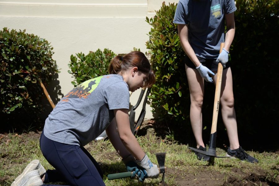 Olivia Johnson picks away grass in order to place new soil for the native plants.