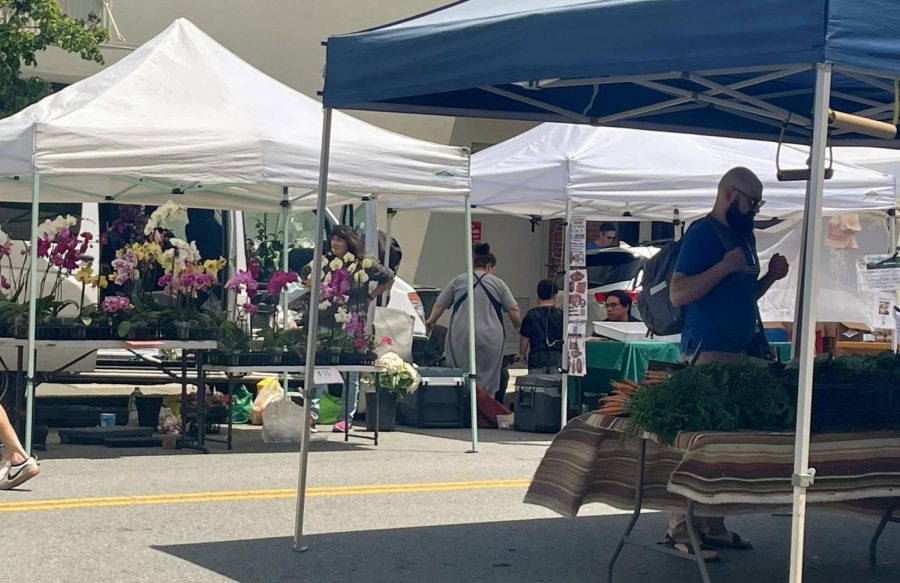 The farmers market provides a space for people to interact with each other and learn more about their community.