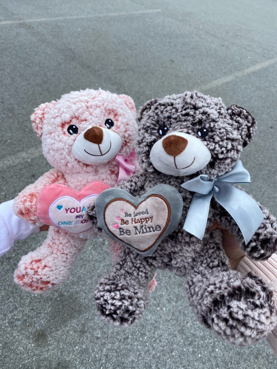 Junior Sophia Geminder and her partner bought each other matching teddy bears to celebrate.