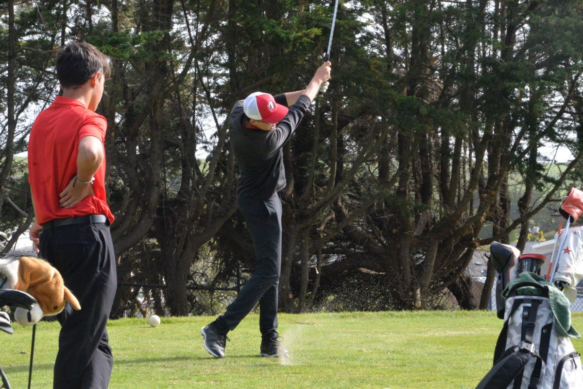 Junior Zach Newman flushes an iron shot to the middle of the seventh green at Half Moon Bay Golf Links during a match against Woodside High School on Thursday, April 18.