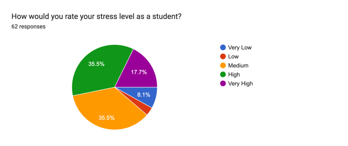 National Stress Awareness Month: Spotlighting academic pressure and coping mechanisms