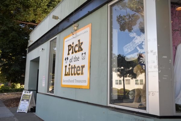 Pick of the Litter is a secondhand store on the edge of Broadway that donates 100% of its proceeds to the Hope program at the Peninsula Humane Society.