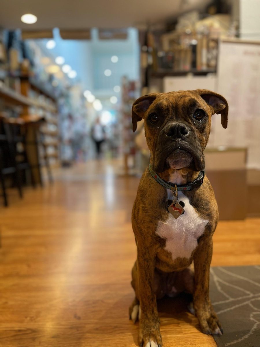 Ferrel’s dog, Pepper, also works at the shop, creating a memorable shopping experience for both customers and employees.