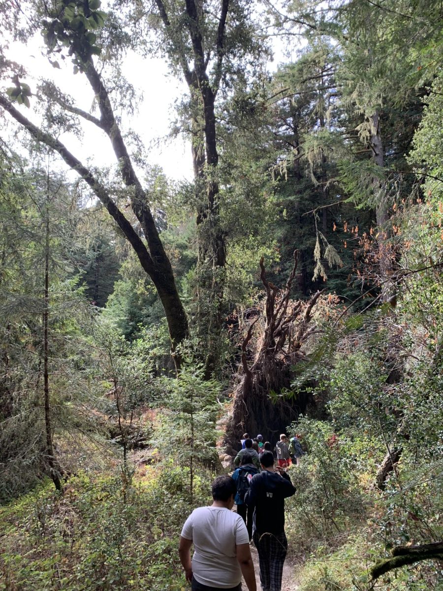 Students also took part in many nature hikes, as the camp is centered around being in the outdoors.