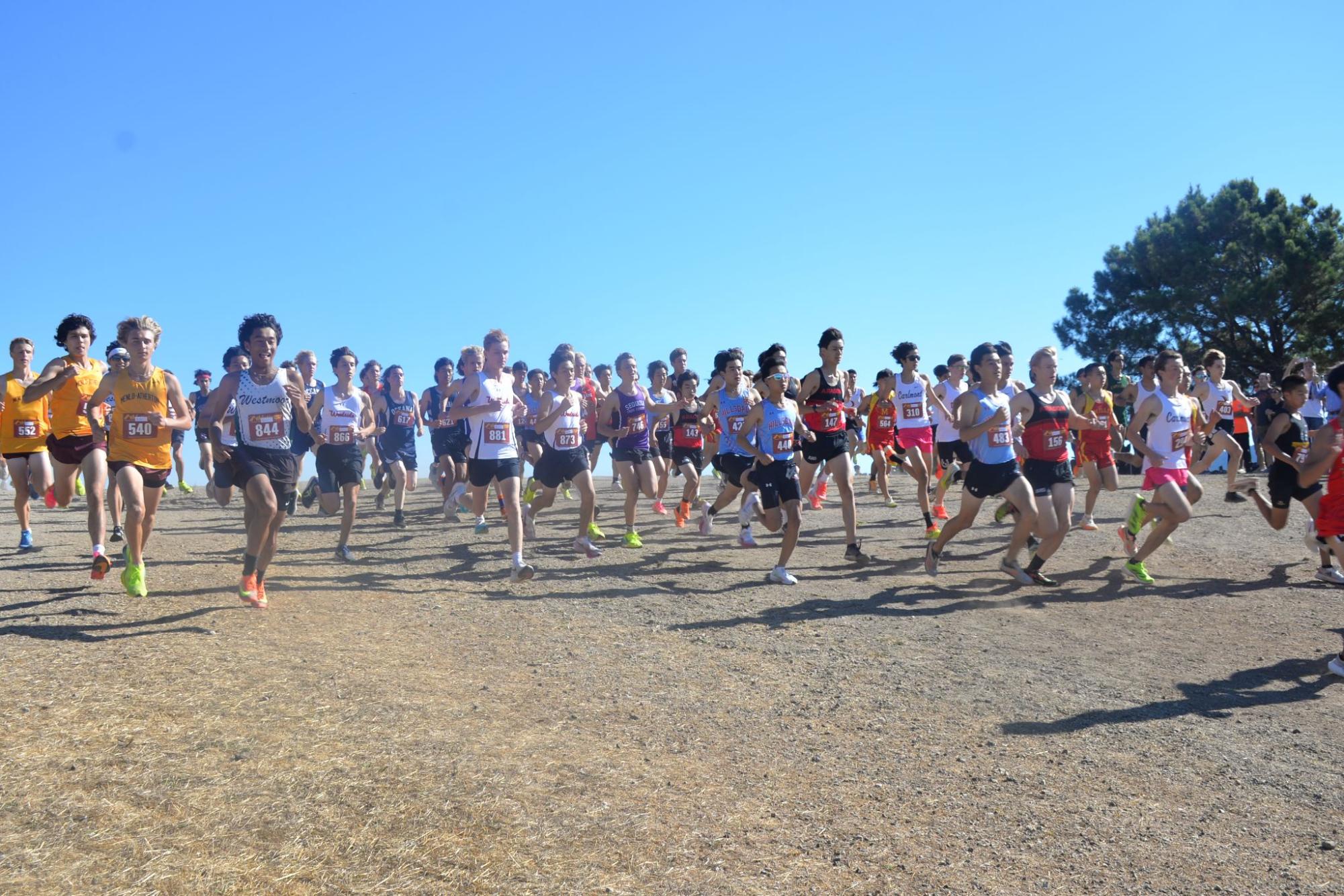 Strong individual performances propel cross country at season's second meet