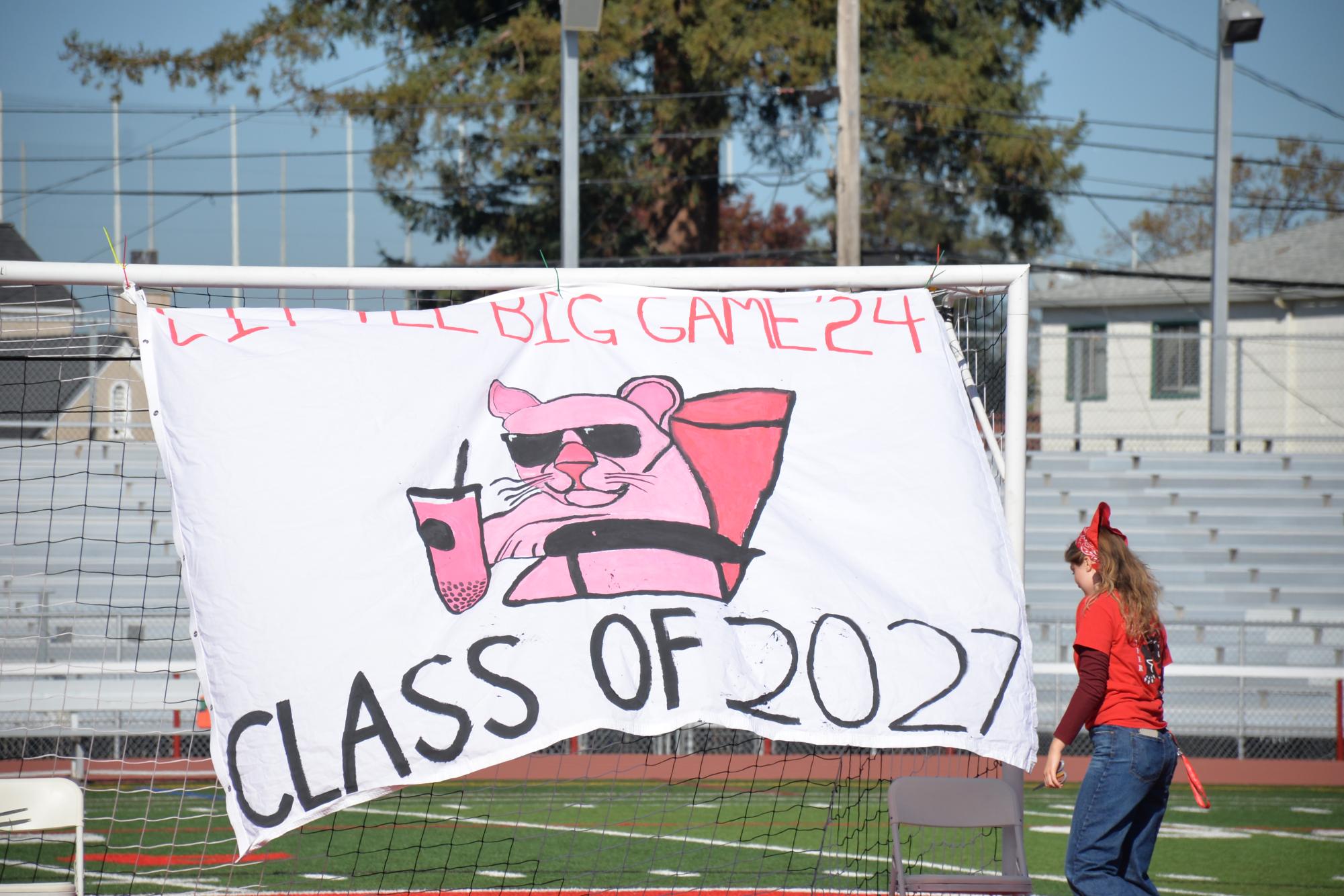 The sophomores combined cartoon and realistic aspects of the pink panther to represent their class spirit.