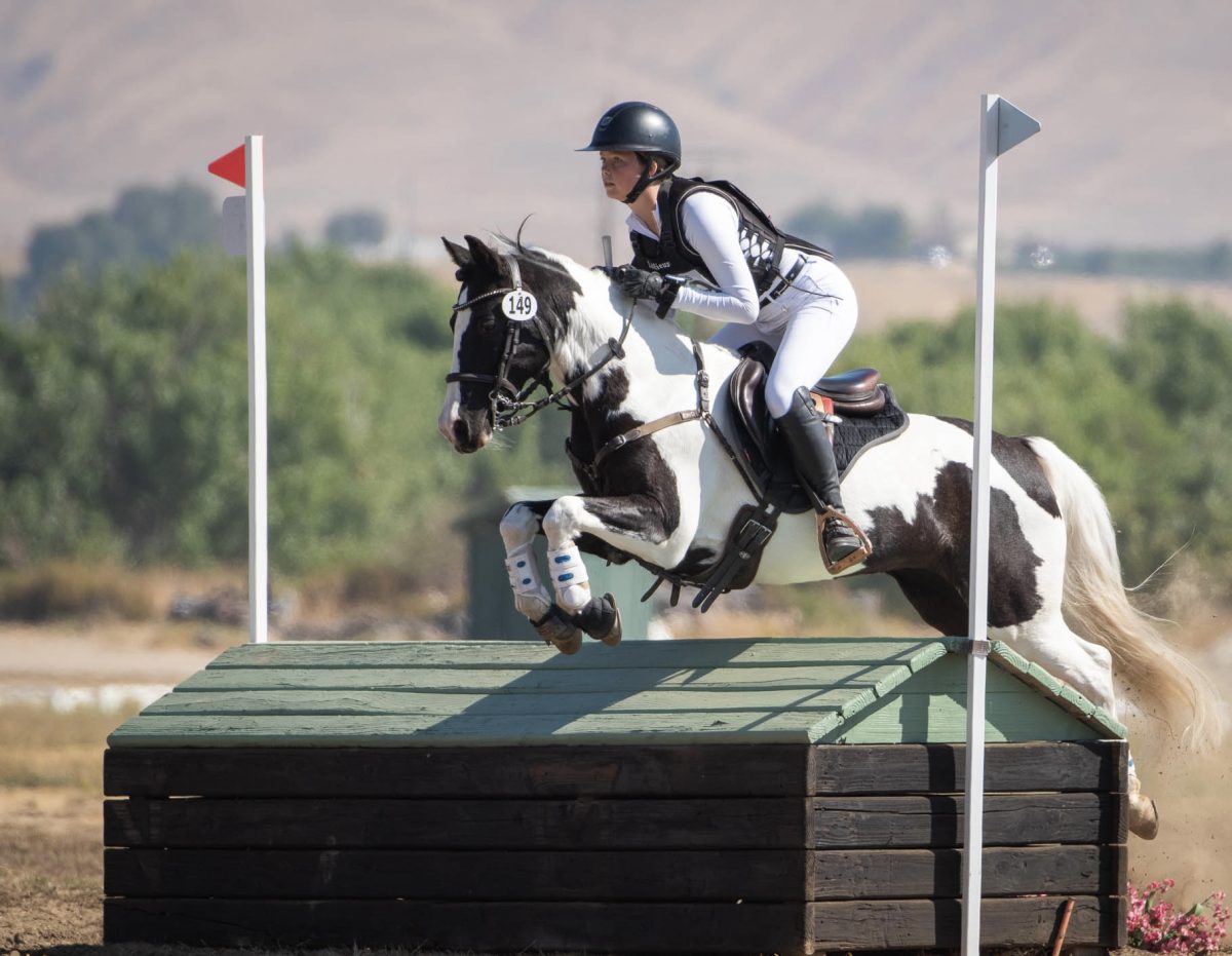 Junior Haley Baird attempts to jump over a large obstacle on her horse in the Show Jumping event.