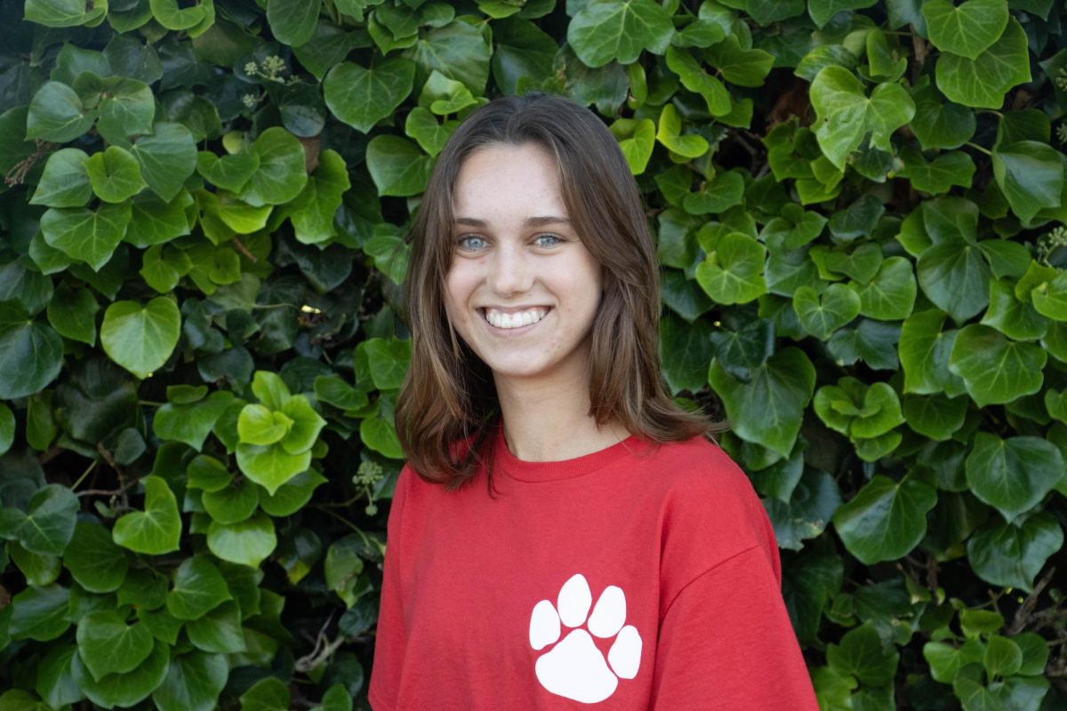 Tehya Scholz-Moresco