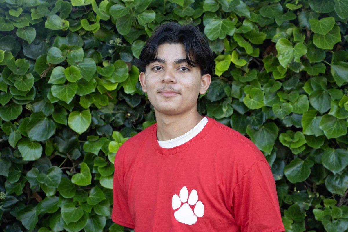 Andrew Barrera