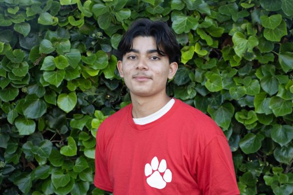 Andrew Barrera