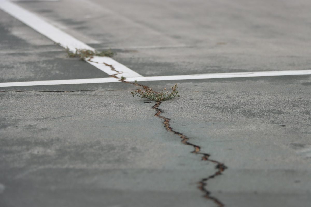 Cracks are visible on the courts near the football field, with weeds beginning to grow through them.