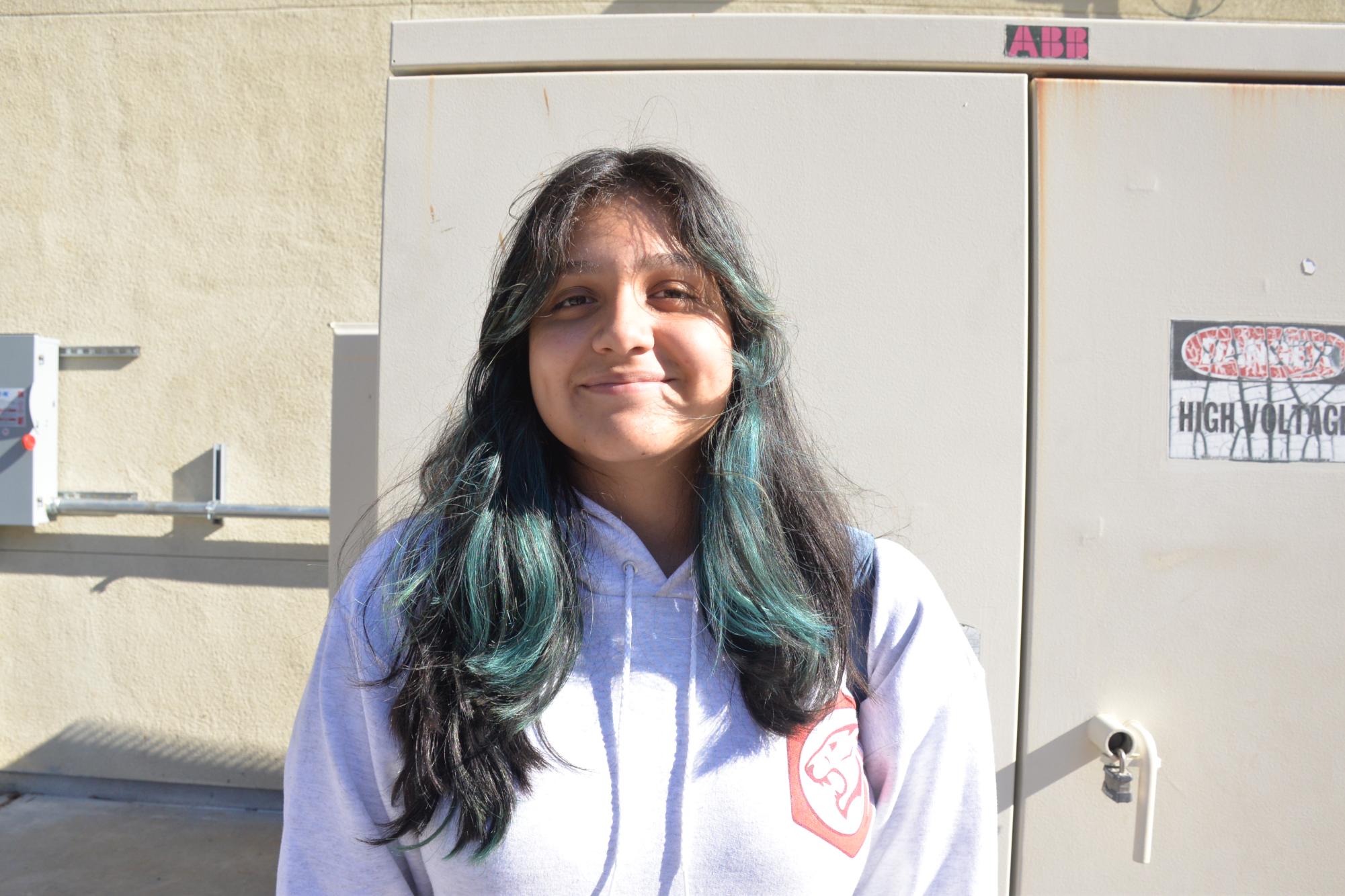 Freshman Stephanie Cano’s mother is a Zumba dance instructor. Cano said she often dances in performances for her mom.