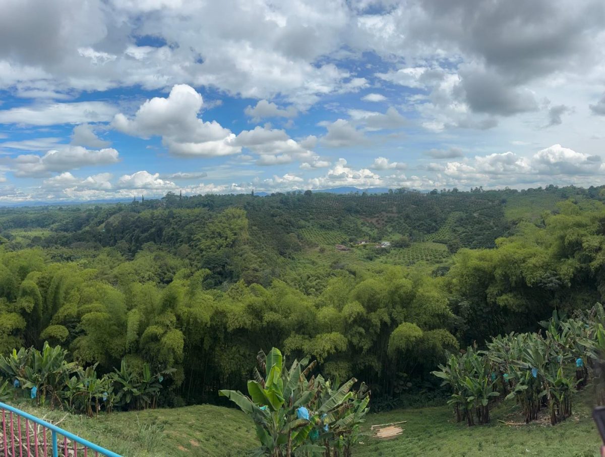 Freshman Stephanie Cano got the opportunity to visit a coffee factory in Quindio, Colombia, a region famous for its coffee, and experience the production process firsthand.