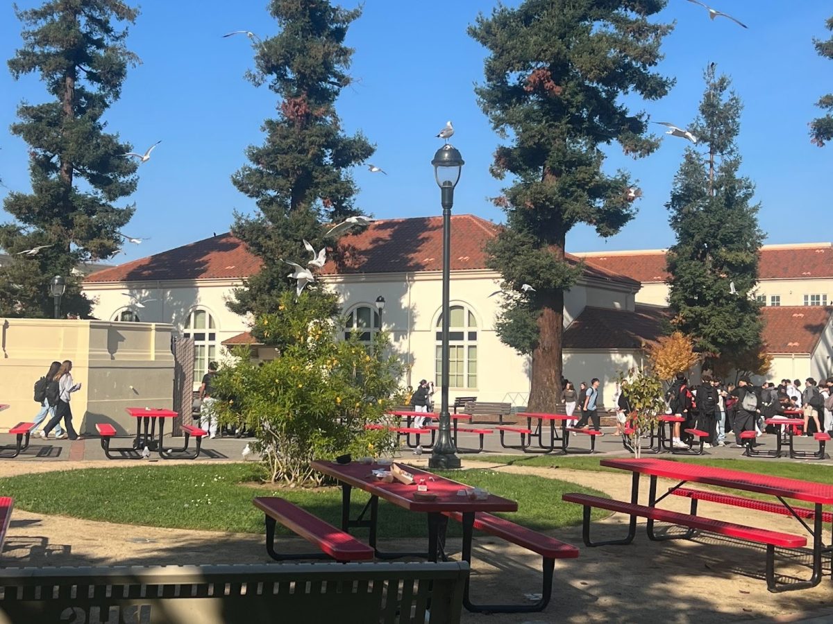 Birds swarm the lunch tables, eating the remains of food and trash left out by students.
