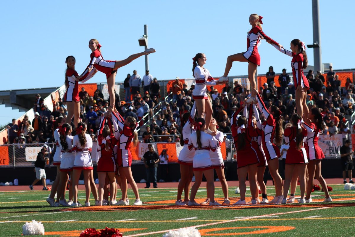 Cheer team performs stunts at halftime on Nov. 8.