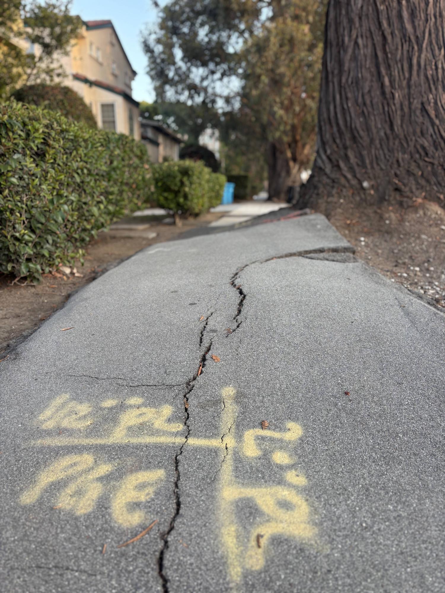 A concern about the sidewalks being lifted is that people with strollers or bikes will not be able to navigate down El Camino Real. The broken pavement and bumpiness also extends to the road, which is why both surfaces need repaving.