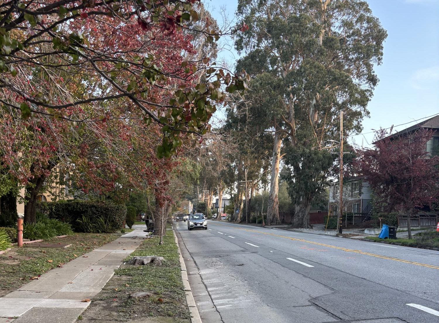The eucalyptus trees that line El Camino were originally planted in the 1870s to serve as windbreakers and to beautify the area. This history is why Burlingame is known as “the city of trees.”