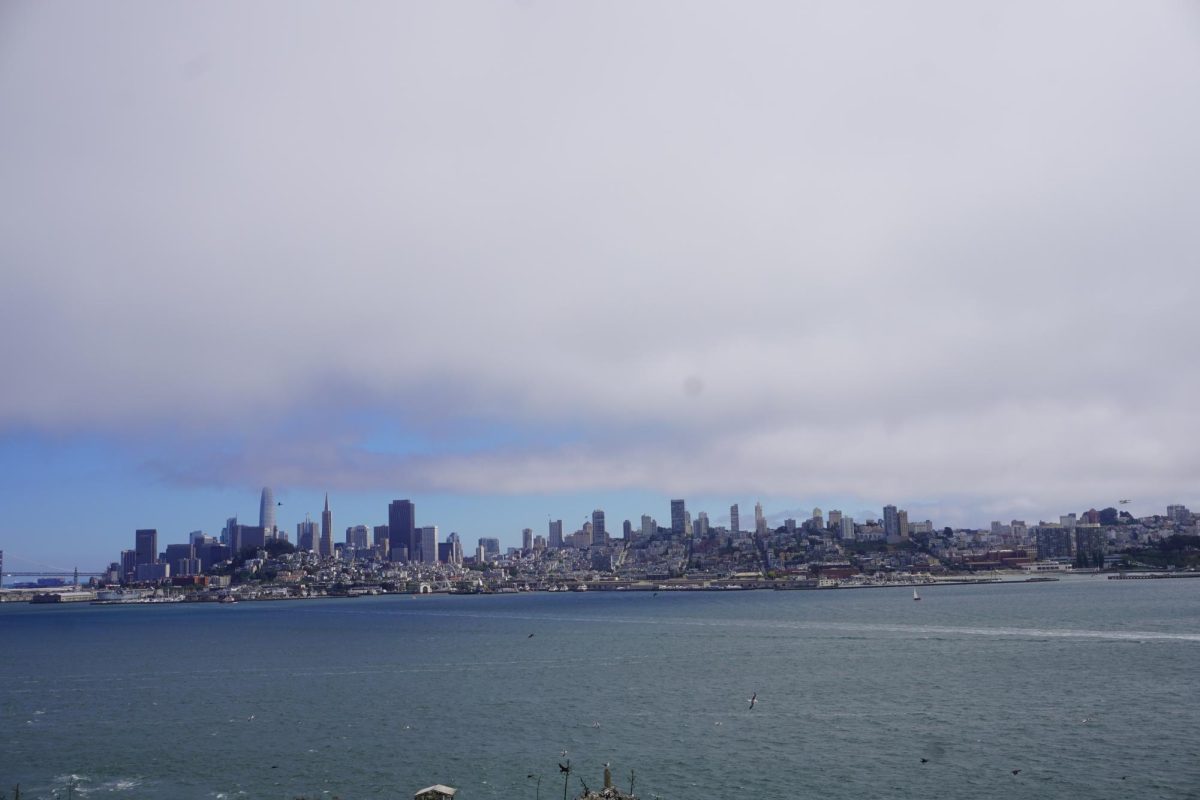 Due to rising housing prices and the prevalence of fentanyl, San Francisco has grappled with a homelessness crisis for decades.