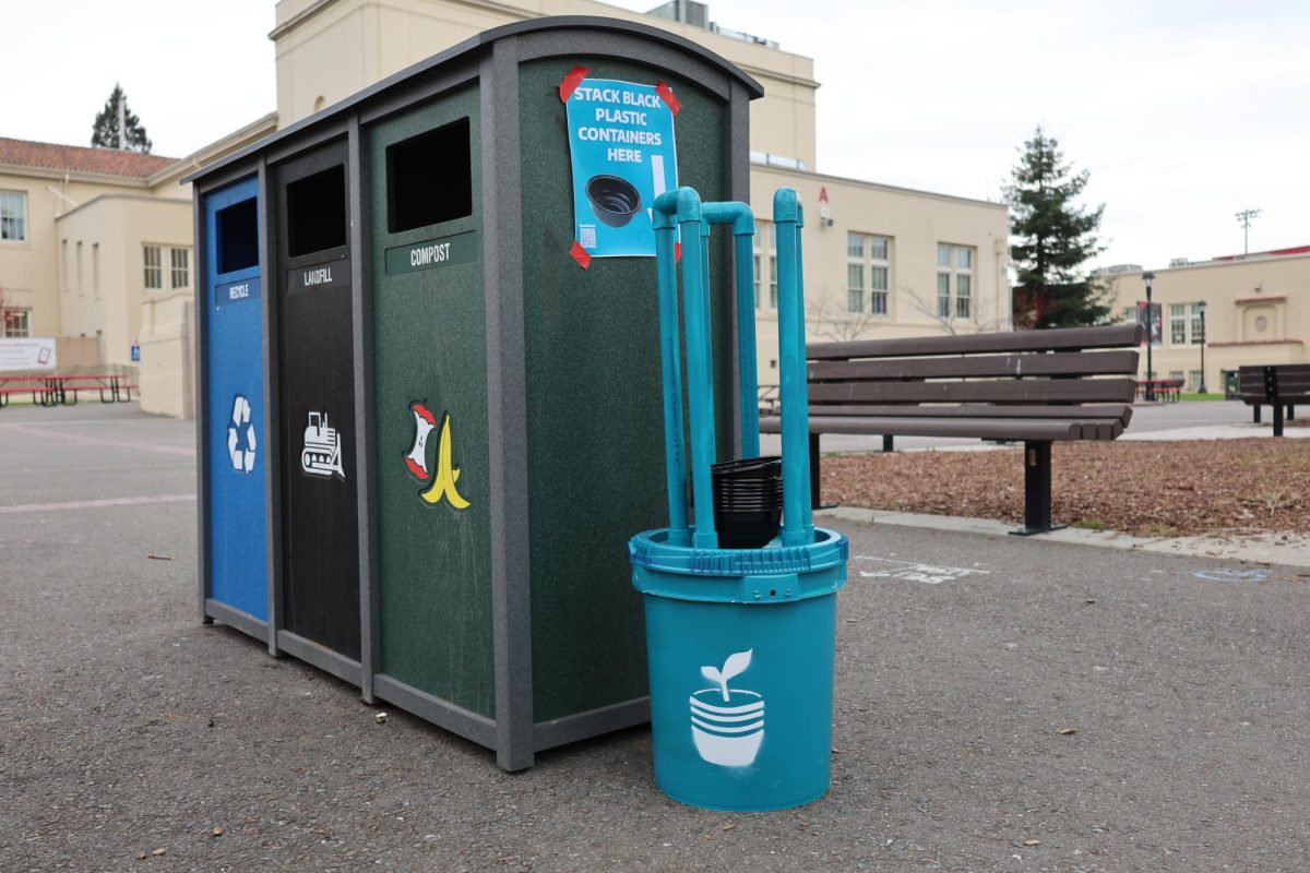 A “stack” stands near a tri-bin in the quad. Once students place their used lunch trays on top of the bucket, they will be collected every day after school and used as pots for a “green wall."

