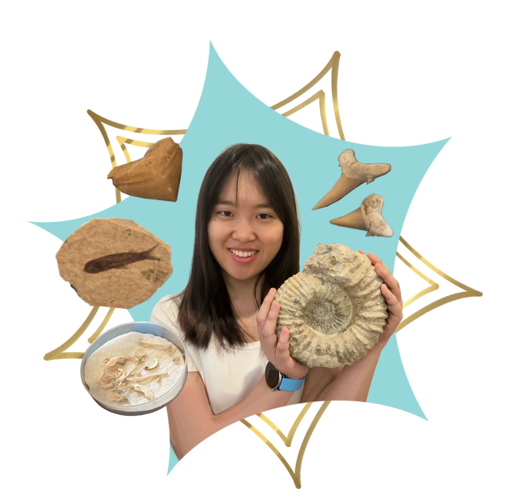 Senior Jaslene Lai, who has an interest in paleontology, has a collection of fossils and owl pellets.